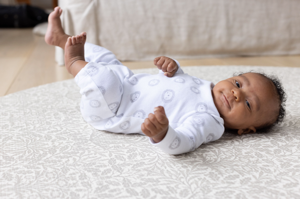 The 2022 collection Totter + Tumble x Morris & Co. Totter and Tumble LLC